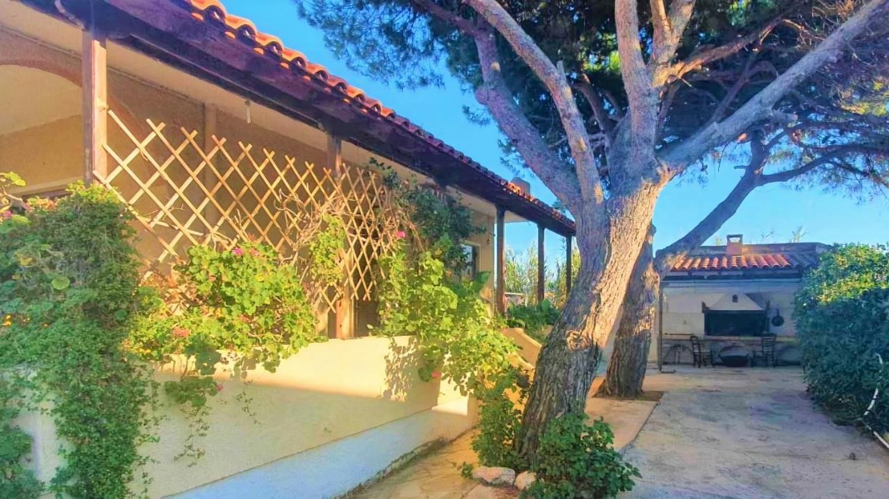 아르테미다 Vravrona Family House 빌라 외부 사진